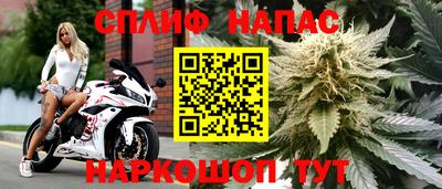 молекула духа Тара